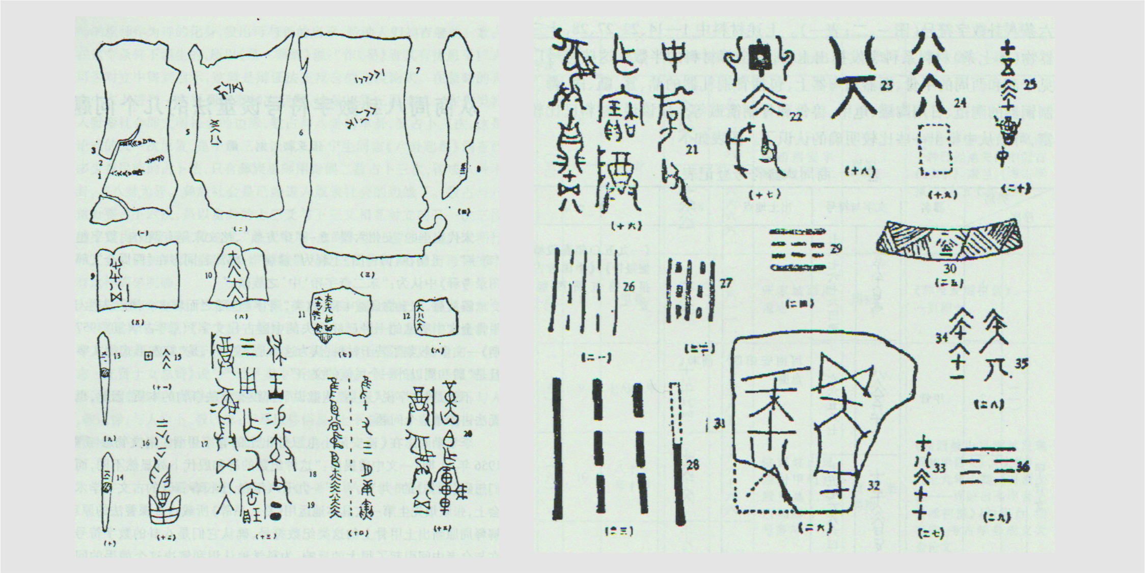 骨卜考古