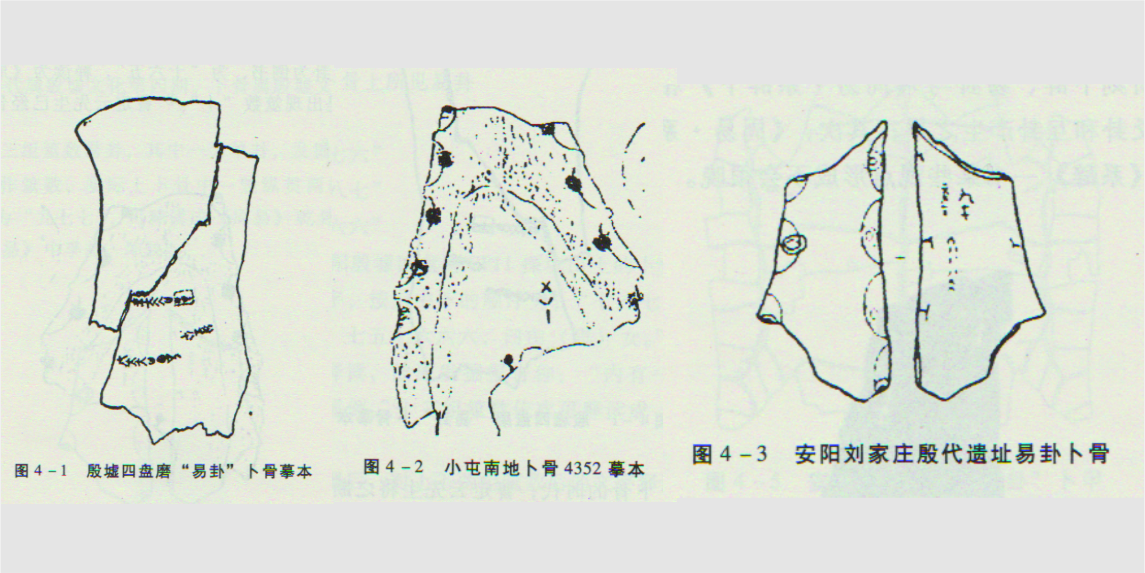 殷墟卜骨一